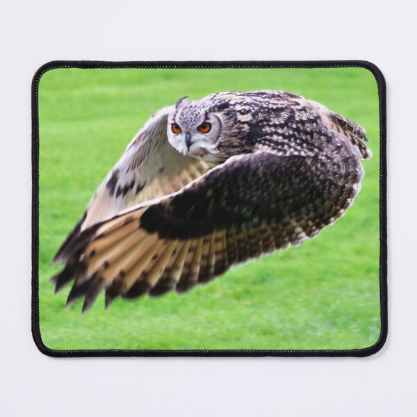 Item preview, Swoop designed and sold by Ladymoose.