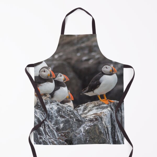 Artikelvorschau, Schöne Wildlife Ocean Papageientaucher Vögel entworfen und verkauft von HaleyRedshaw.