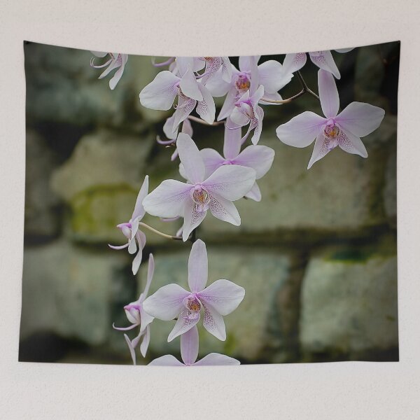 Item preview, Light Purple Moth Orchid designed and sold by Michael Cummings.