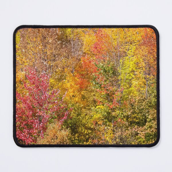 Item preview, Autumn Forest Fall Color II designed and sold by Erika Bartha.