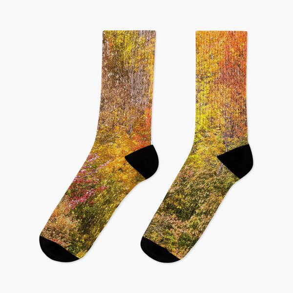 Item preview, Autumn Forest Fall Color II designed and sold by Erika Bartha.