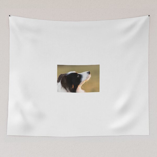 Item preview, expression of the eyes of a border collie designed and sold by tartaruga1988.