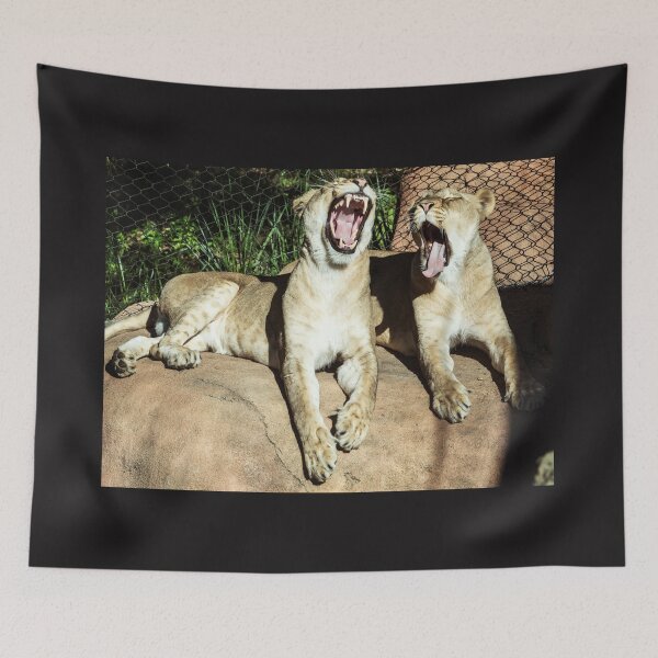 Item preview, feline animals # animal collection, the most beautiful, animals on the planet #luk&arts designed and sold by LUK0arts.