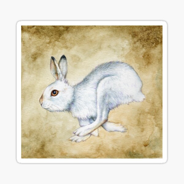 Running Mountain Hare Sticker