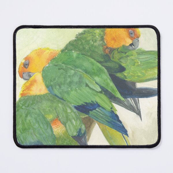 Item preview, Sun Conures  designed and sold by Hanna  Pease.