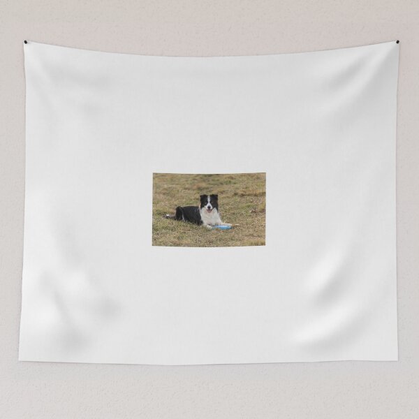 Item preview, border collie with a Frisbee in its paws designed and sold by tartaruga1988.