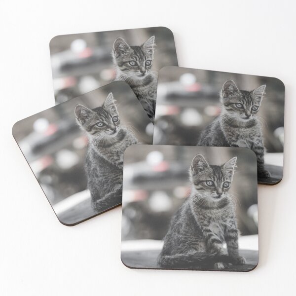 Item preview, A cat that looks like a black and white picture. designed and sold by ESJSTORY.