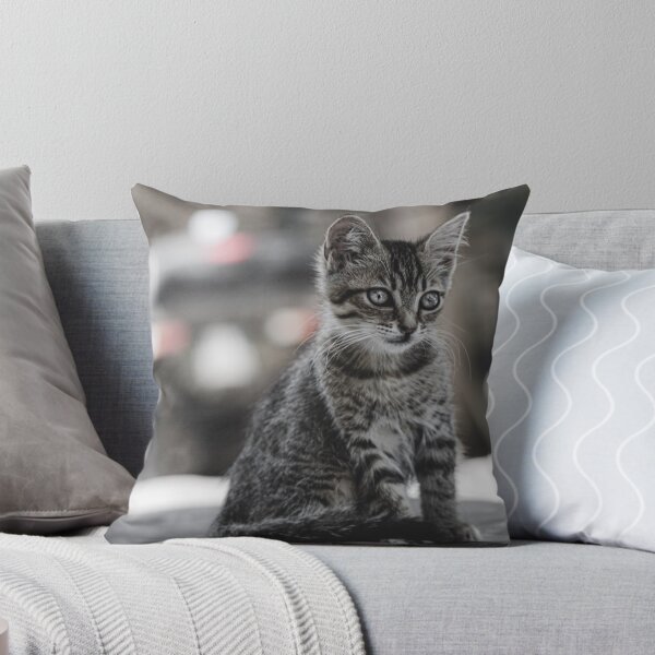 Item preview, A cat that looks like a black and white picture. designed and sold by ESJSTORY.