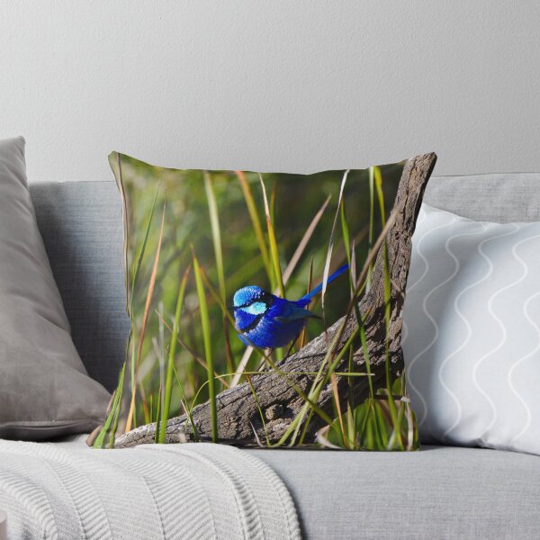 Item preview, Cute Birds A Splendid Fairy Wren Bird In Breeding Plumage designed and sold by Jason Gilbert.