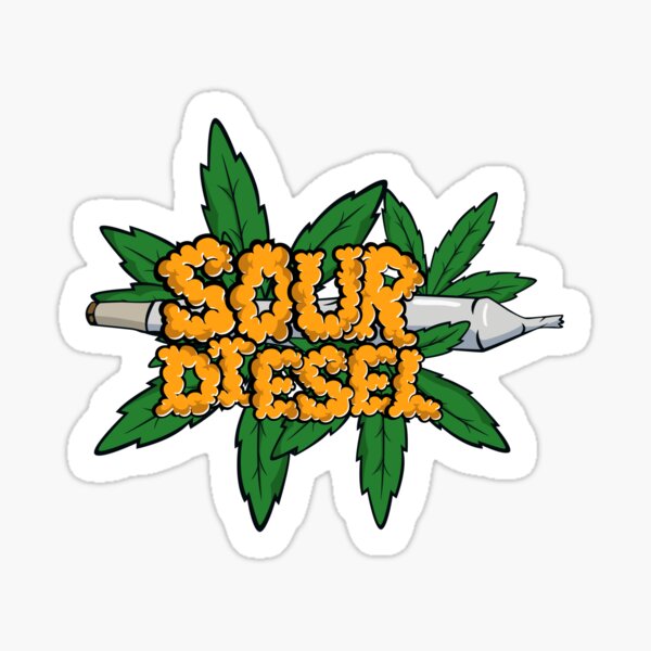 CBDジョイント Sour Diesel sativa 5本