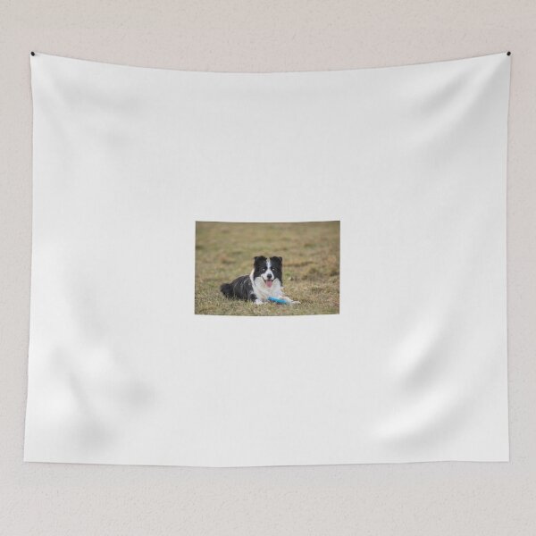 Item preview, border collie with a Frisbee in its paws designed and sold by tartaruga1988.