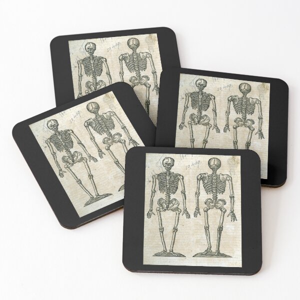 Item preview, Malpighi Skeleton designed and sold by Lloyd Library & Museum.