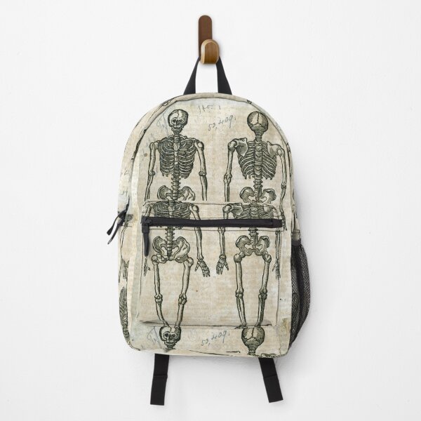 Item preview, Malpighi Skeleton designed and sold by Lloyd Library & Museum.