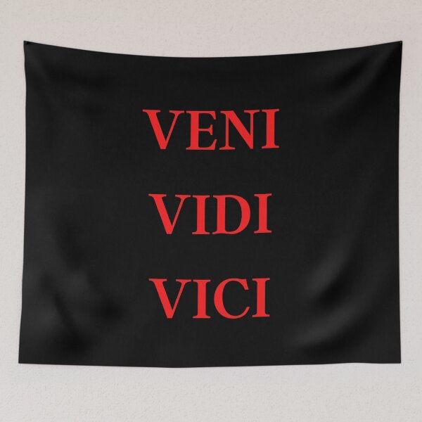 Item preview, Veni Vidi Vici, I Came I Saw I Conquered, Latin Essential T-Shirt designed and sold by JoesCornerStore.
