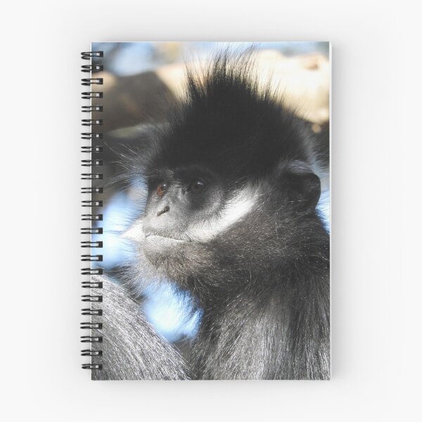 Item preview, Langur designed and sold by kirstybush.
