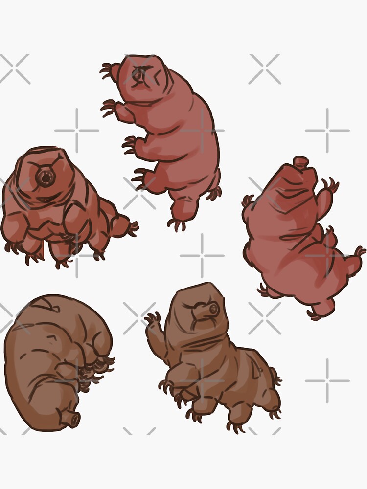 "Wonderful WaterBears" Sticker for Sale by piratical Redbubble