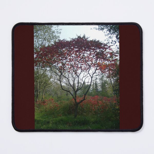 Item preview, Autumn theme designed and sold by Ana Belaj.