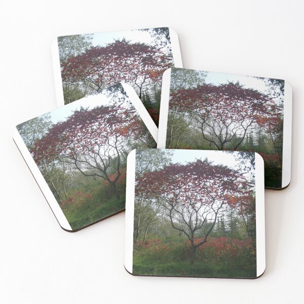 Item preview, Autumn theme designed and sold by Ana Belaj.