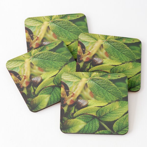 Item preview, Snail asleep in its foliage. designed and sold by Tableaux51.