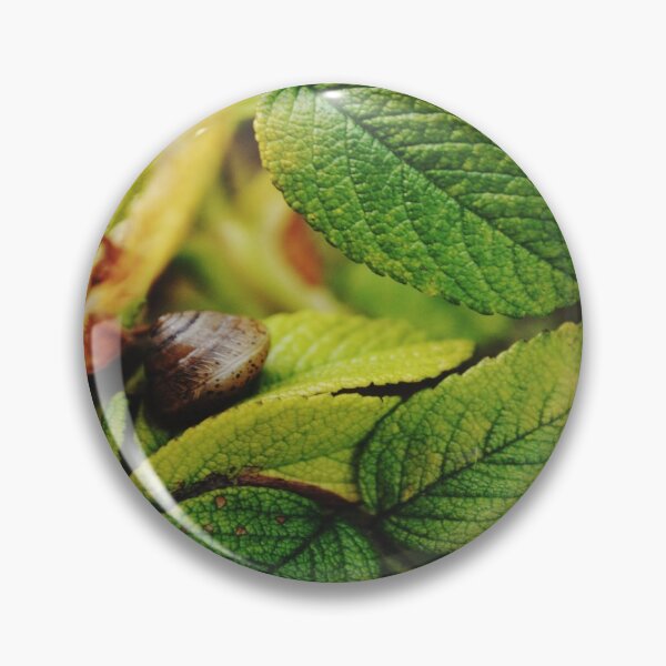 Item preview, Snail asleep in its foliage. designed and sold by Tableaux51.