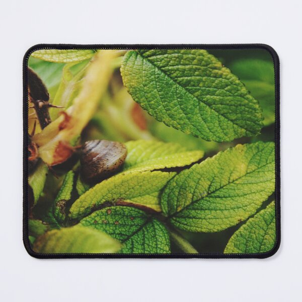 Item preview, Snail asleep in its foliage. designed and sold by Tableaux51.