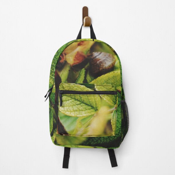 Item preview, Snail asleep in its foliage. designed and sold by Tableaux51.