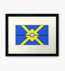 Pokemon - Quickball Framed Print