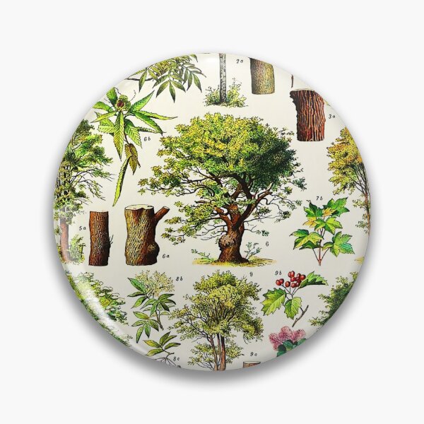 Item preview, Arbres French vintage botanical designed and sold by Leilaarros.