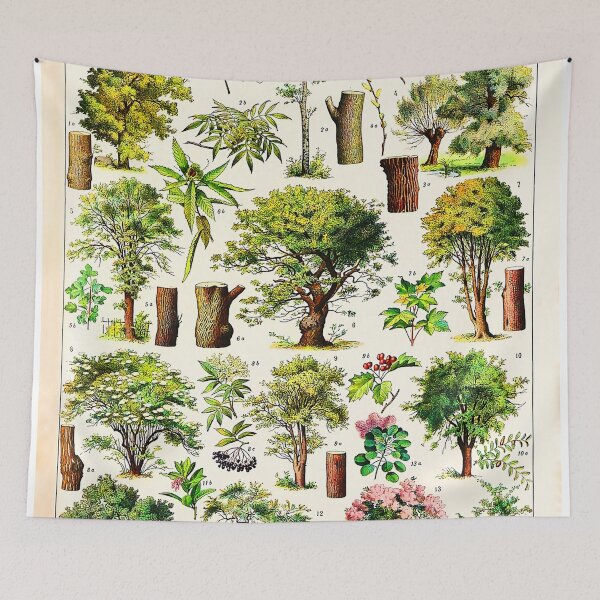 Item preview, Arbres French vintage botanical designed and sold by Leilaarros.