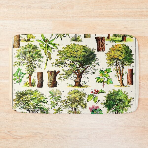 Item preview, Arbres French vintage botanical designed and sold by Leilaarros.
