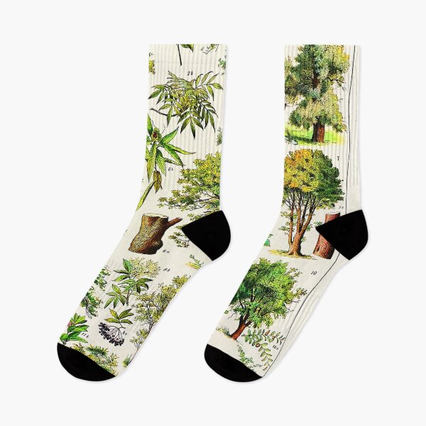 Item preview, Arbres French vintage botanical designed and sold by Leilaarros.