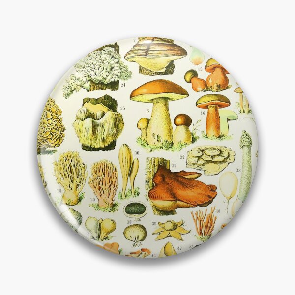 Item preview, Vintage Mushrooms Larousse Adolphe Millot designed and sold by Leilaarros.