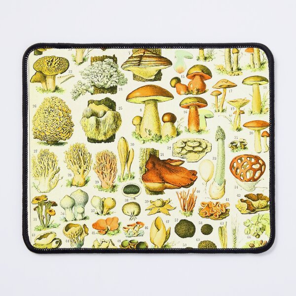 Item preview, Vintage Mushrooms Larousse Adolphe Millot designed and sold by Leilaarros.