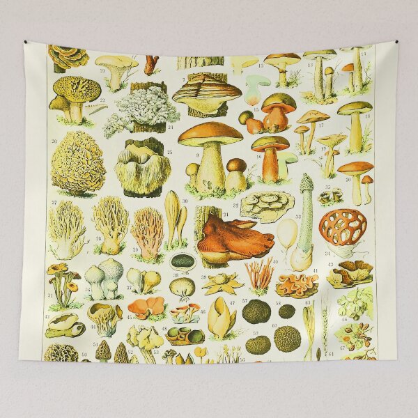 Item preview, Vintage Mushrooms Larousse Adolphe Millot designed and sold by Leilaarros.