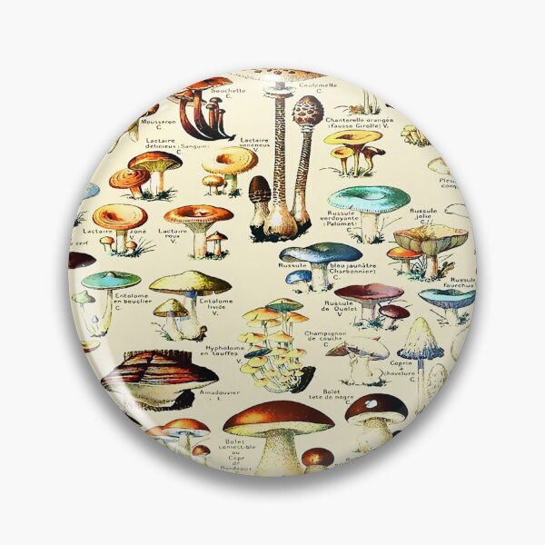 Item preview, Vintage Mushrooms Adolphe Millot Larousse designed and sold by Leilaarros.