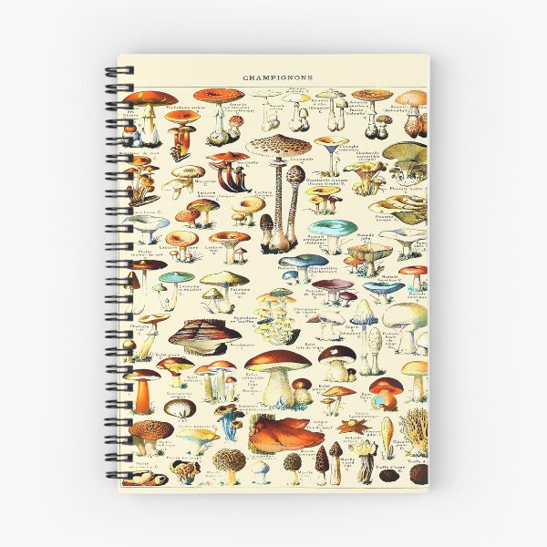 Item preview, Vintage Mushrooms Adolphe Millot Larousse designed and sold by Leilaarros.