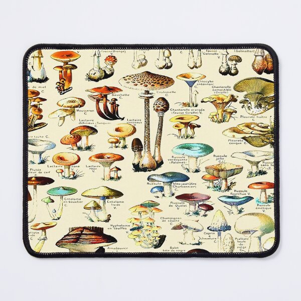 Item preview, Vintage Mushrooms Adolphe Millot Larousse designed and sold by Leilaarros.
