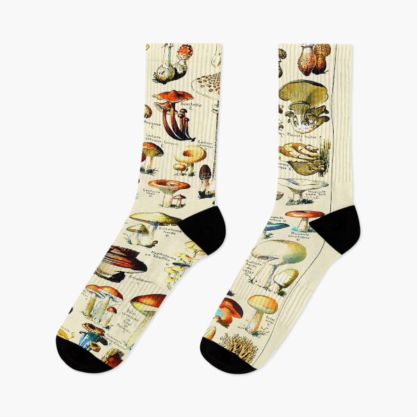 Item preview, Vintage Mushrooms Adolphe Millot Larousse designed and sold by Leilaarros.