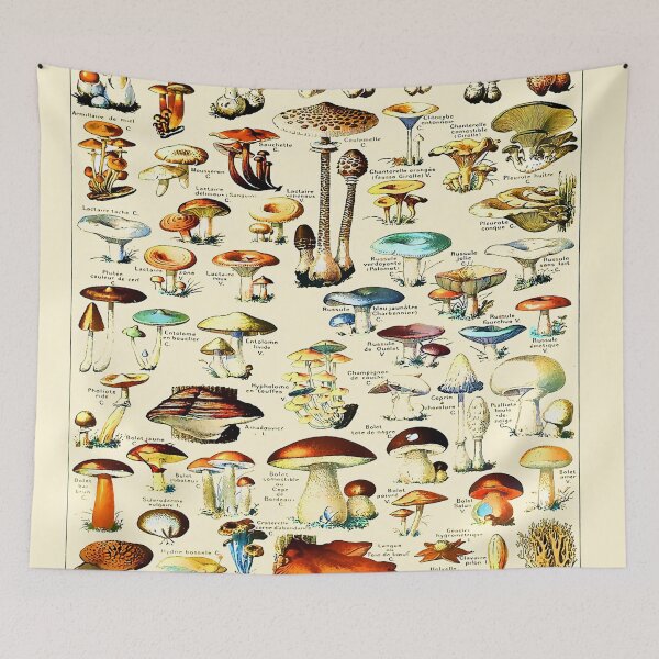 Item preview, Vintage Mushrooms Adolphe Millot Larousse designed and sold by Leilaarros.