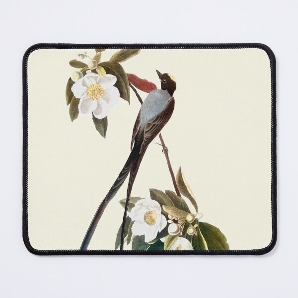Item preview, Fork-Tailed Flycatcher - Audubon designed and sold by sanerevolution.