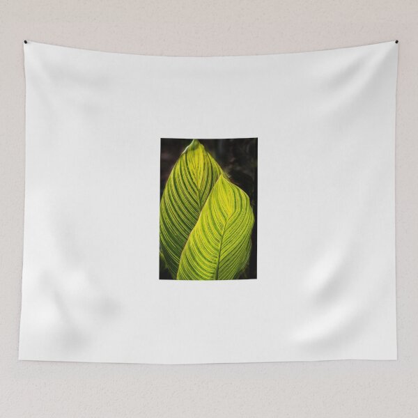 Item preview, Canna designed and sold by BGSPhoto.