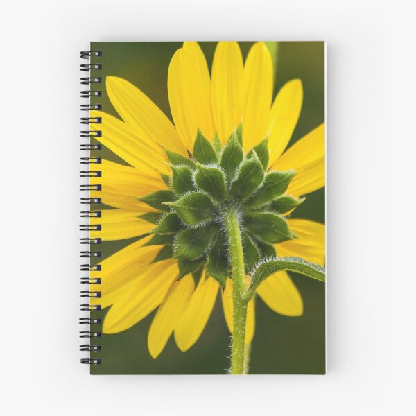 Item preview, Nice Backside designed and sold by BGSPhoto.