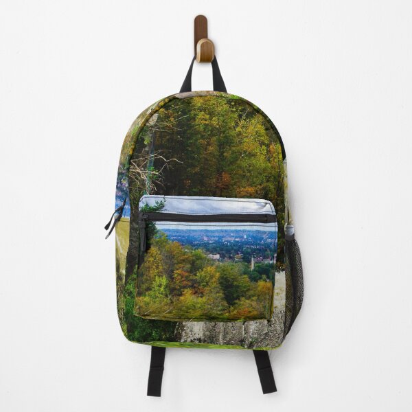 Item preview, From the Brow of The Punch Bowl Falls designed and sold by SRosuphotos.