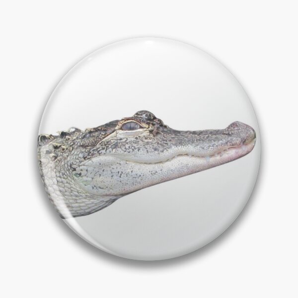 Item preview, Alligator Smile designed and sold by BeachBumFamily.
