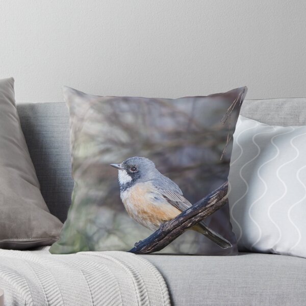 Item preview, Birds - A Roufous Whistler Bird Perched On A Branch designed and sold by Jason Gilbert.