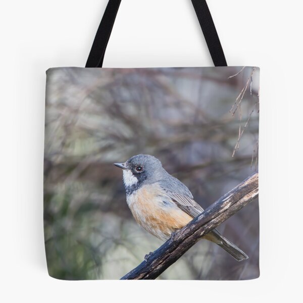 Item preview, Birds - A Roufous Whistler Bird Perched On A Branch designed and sold by Jason Gilbert.