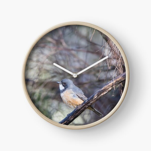 Item preview, Birds - A Roufous Whistler Bird Perched On A Branch designed and sold by Jason Gilbert.