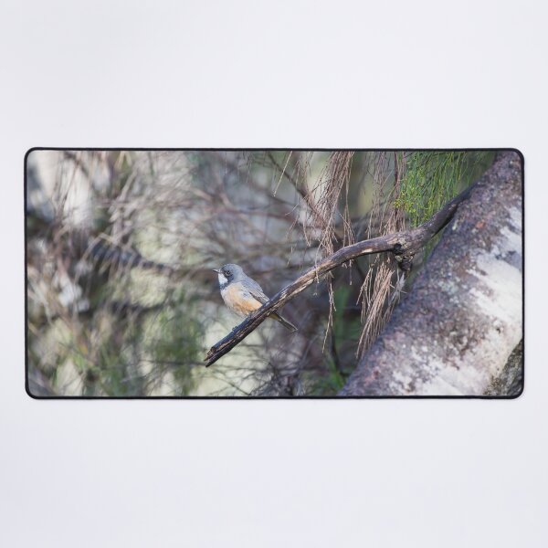 Item preview, Birds - A Roufous Whistler Bird Perched On A Branch designed and sold by Jason Gilbert.