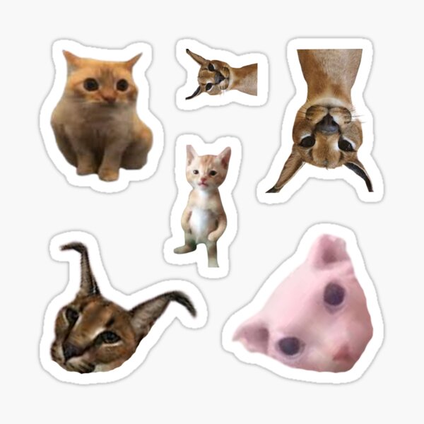 Pegatinas de gato meme: Pop Cat Bingus Big Floppa Polite -  España