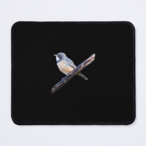 Item preview, Birds - A Roufous Whistler Bird Perched On A Branch Cutout designed and sold by Jason Gilbert.